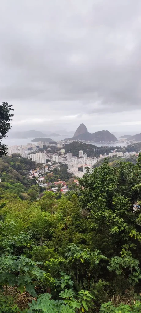 Vistas panorámicas durante la subida al Bar do Tino hacia el Pão de Açúcar y la Zona Sur de Río de Janeiro con selva tropical en primer plano bajo un cielo nublado.